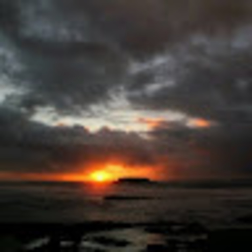 Meet your Posher, Kat